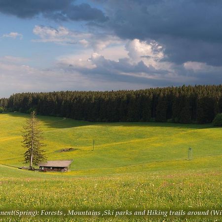Entire House In Schwarzwald With Mountain View, Private Gym,Sauna And Garden Villa Unterkirnach Bagian luar foto