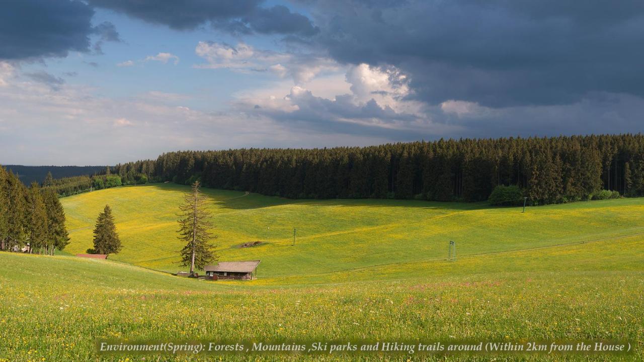Entire House In Schwarzwald With Mountain View, Private Gym,Sauna And Garden Villa Unterkirnach Bagian luar foto