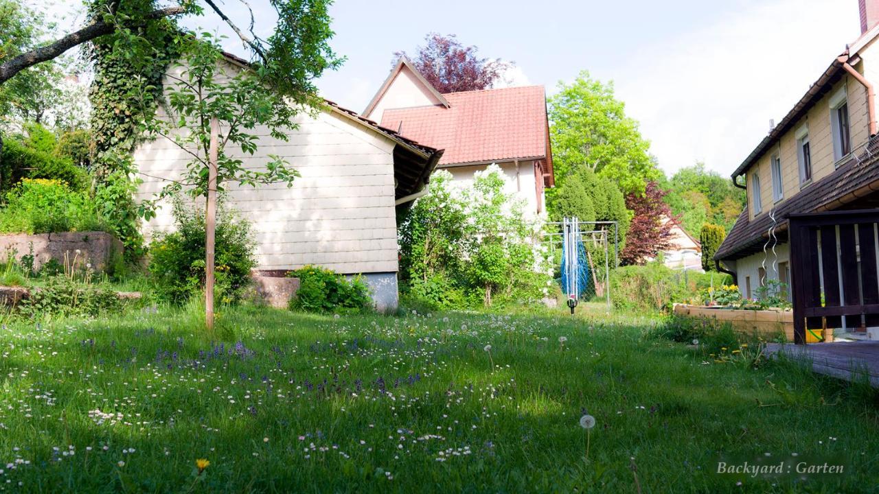 Entire House In Schwarzwald With Mountain View, Private Gym,Sauna And Garden Villa Unterkirnach Bagian luar foto