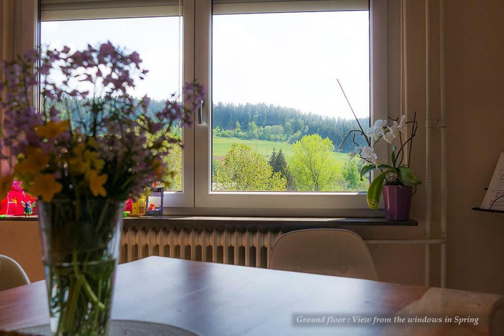 Entire House In Schwarzwald With Mountain View, Private Gym,Sauna And Garden Villa Unterkirnach Bagian luar foto